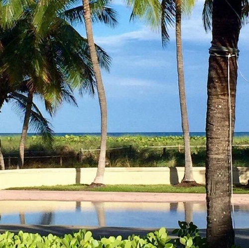 Ocean Surf Hotel image 10